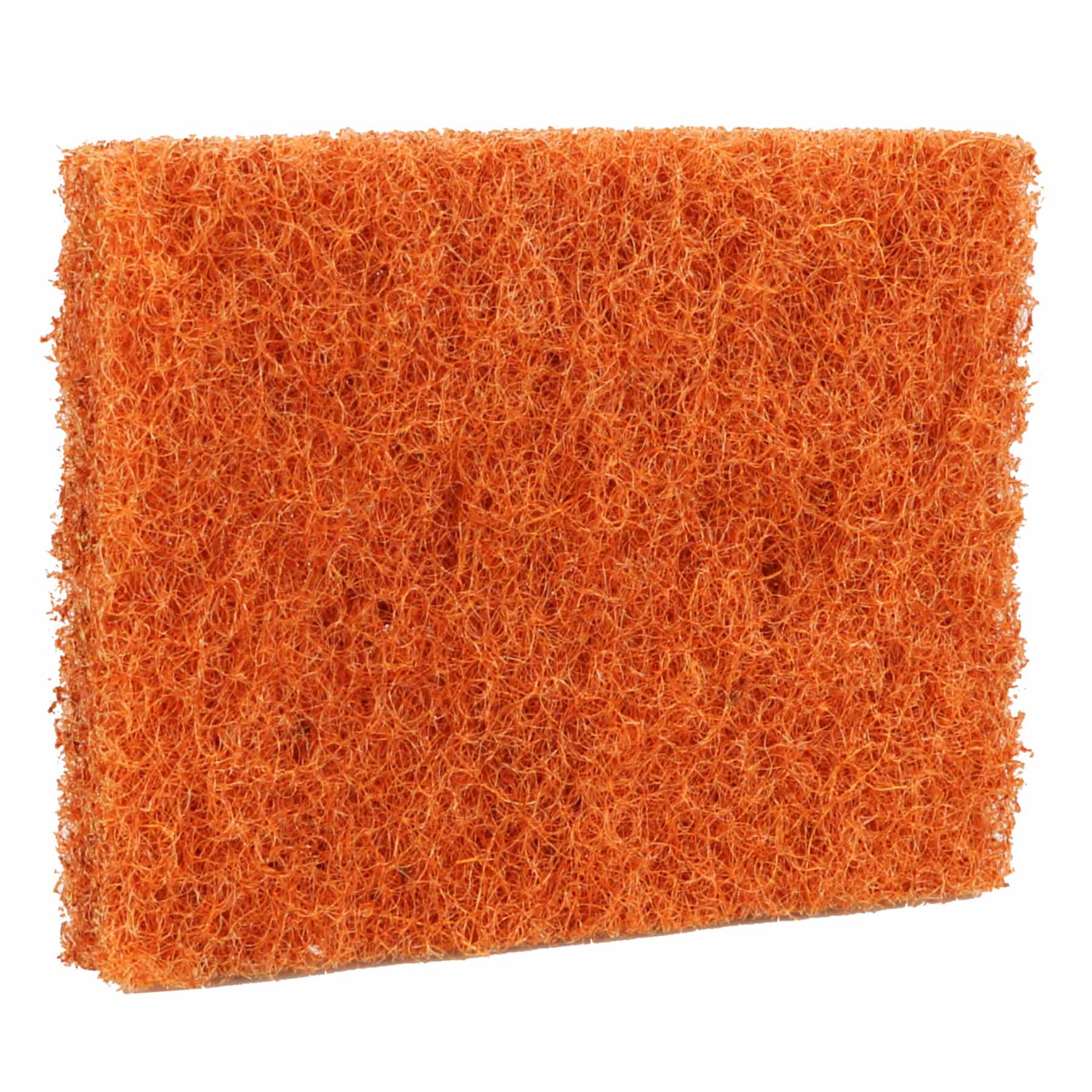 The Adventure Ready Coconut Scrubber on a white background.