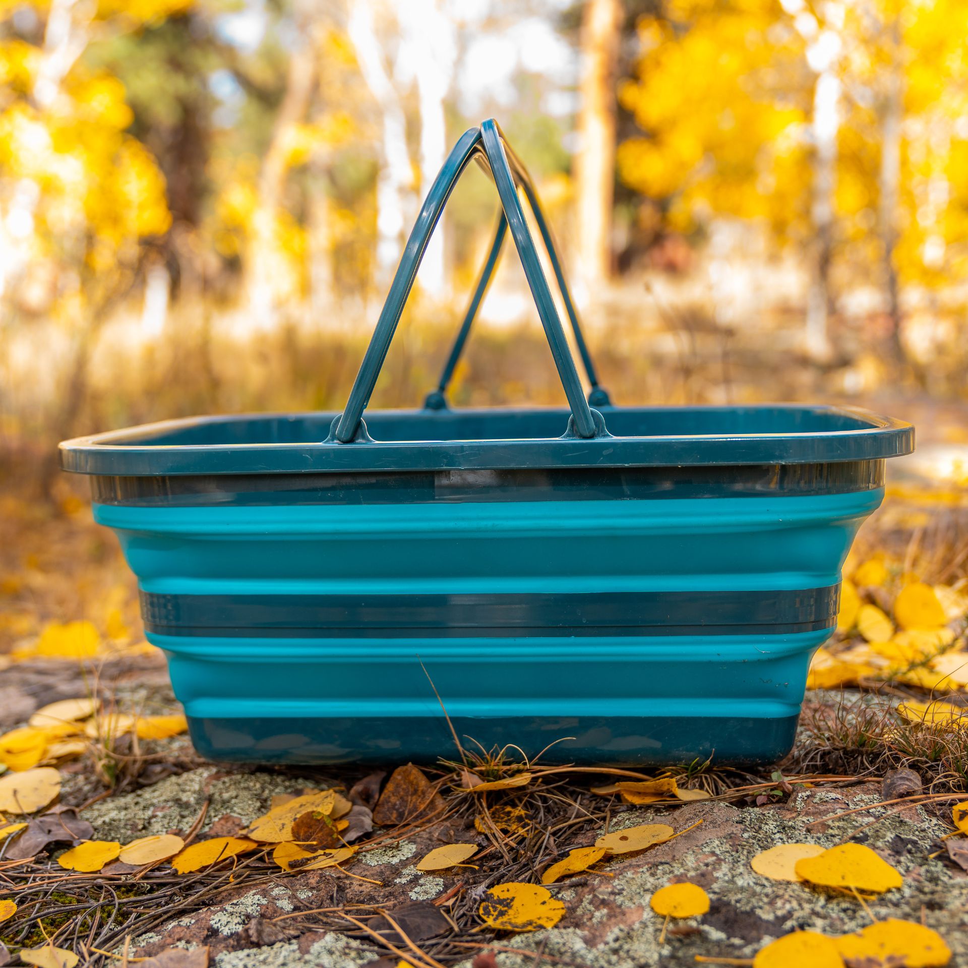The AR Collapsible Sink 16L outdoors with fall foliage in the background