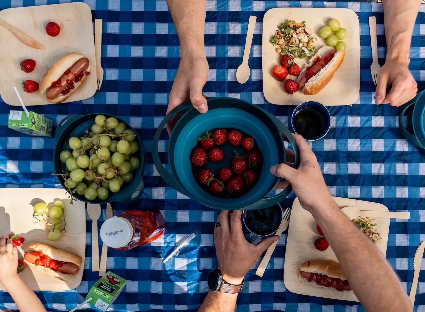 Overhead view of a picnic scene on a blue-and-white checkered tablecloth, with multiple hands holding bowls and plates of food including strawberries, grapes, hot dogs, salad, juice, and drinks.